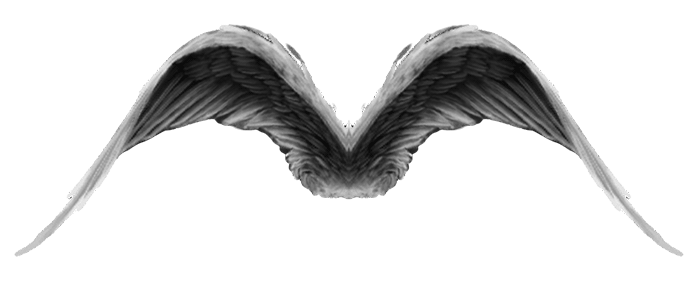 Dark Angel Wings (FREE) by luisbc