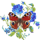 Lovely Butterfly by KmyGraphic