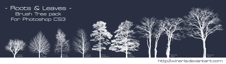 http://fc03.deviantart.net/fs71/i/2010/054/d/d/Roots_and_Leaves___Tree_Brush_by_Winerla.jpg