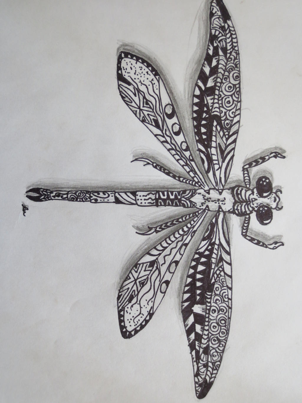 Zentangle dragonfly by luzilla on DeviantArt