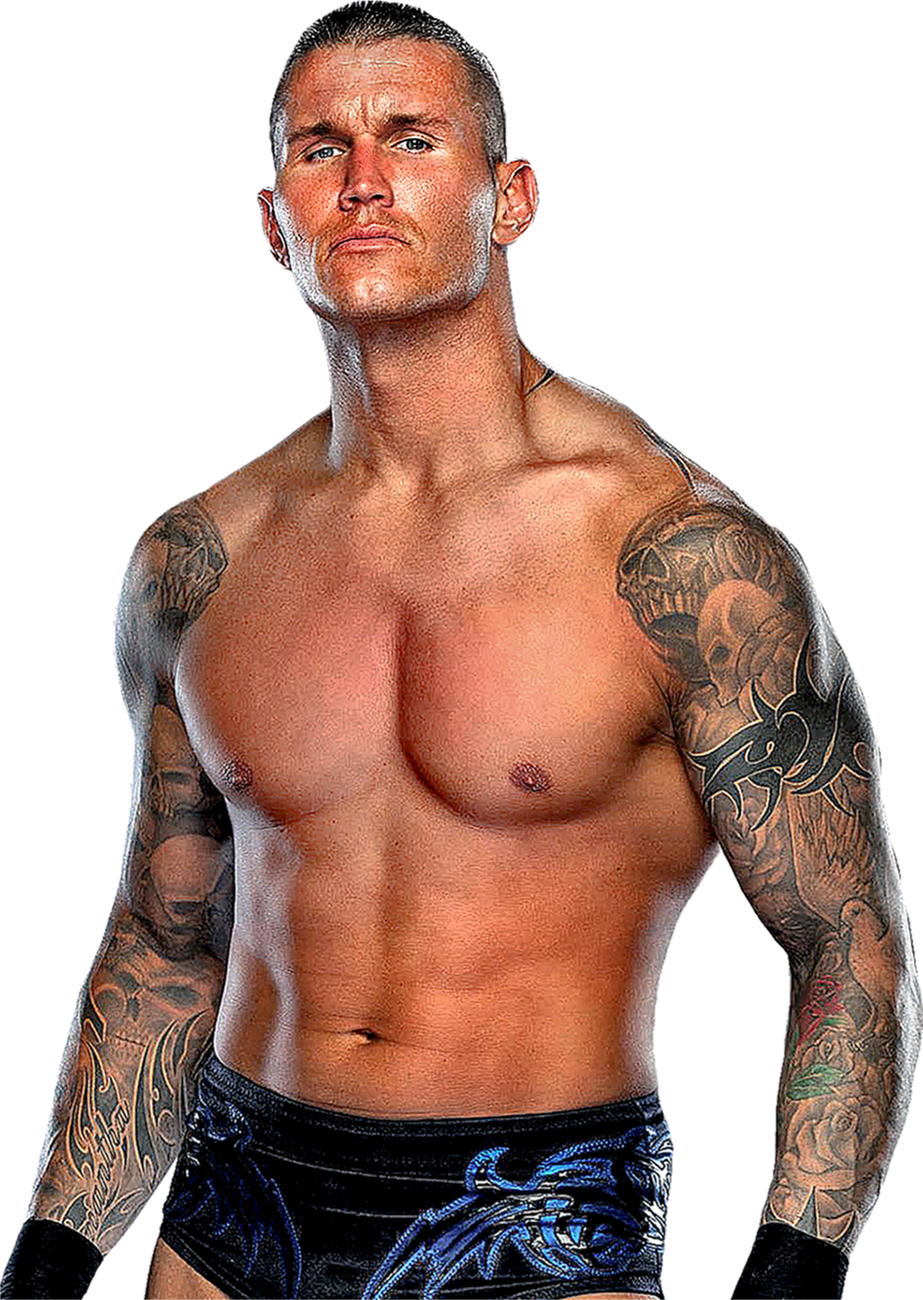 Viper Randy Orton Orton Randy Orton Wwe