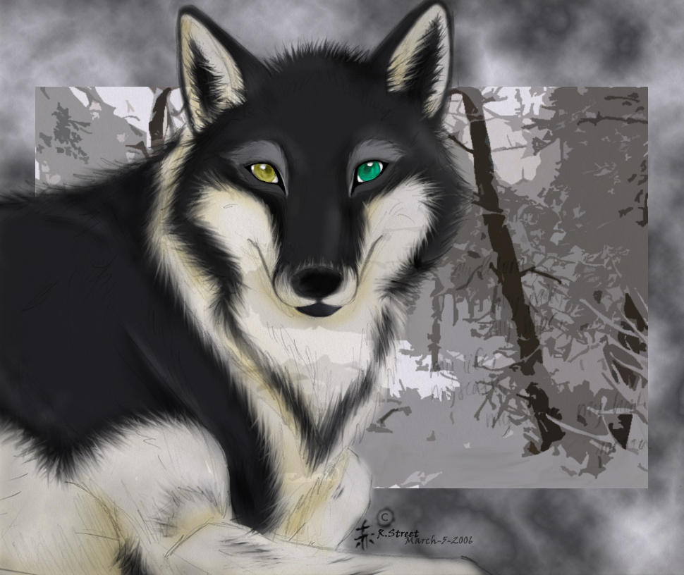 The Wolf King by blackmustang13 on DeviantArt